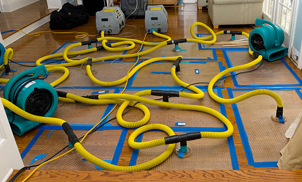 Professional Structural Drying And Dehumidification technician working in Woodland Hills, CA